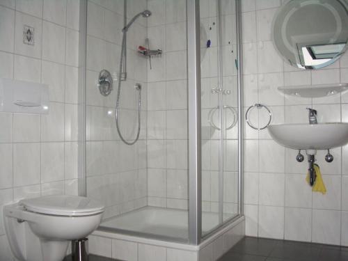 a bathroom with a shower and a toilet and a sink at Ferienhof Ott im Rothenburger Land in Adelshofen