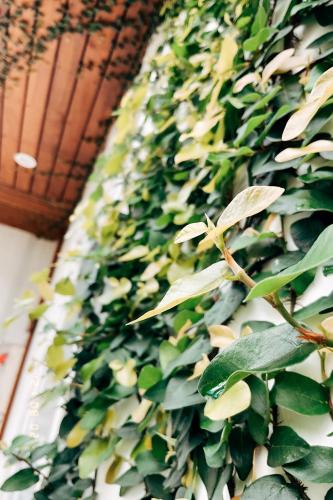 a green wall with leaves on it at Little Ryukyu Hermit Crab Homestay in Xiaoliuqiu