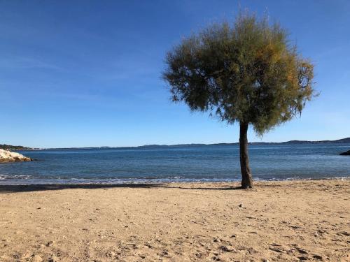Photo de la galerie de l'établissement Charmant appartement climatisé proche des plages, à Carqueiranne