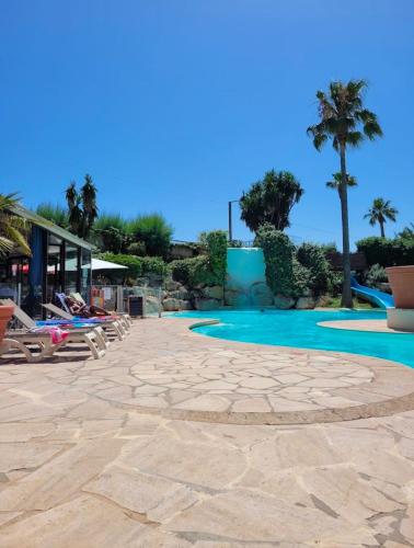 un complexe avec piscine et palmiers dans l'établissement Magnifique vue mer, à Cannes