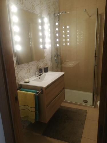 a bathroom with a sink and a shower at El piso de Amalia in Casalarreina