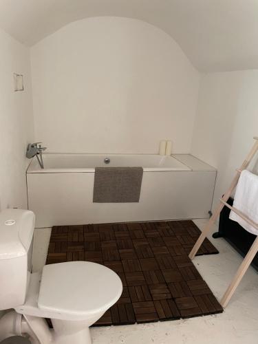 a bathroom with a toilet and a bath tub at Apartmány Na vlně in Kozákov