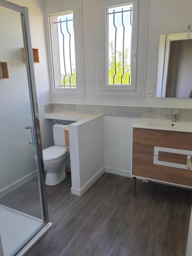 une salle de bain avec toilettes, lavabo et miroir dans l'établissement Grand T2 tout confort au calme avec terrasse, à Lagarrigue