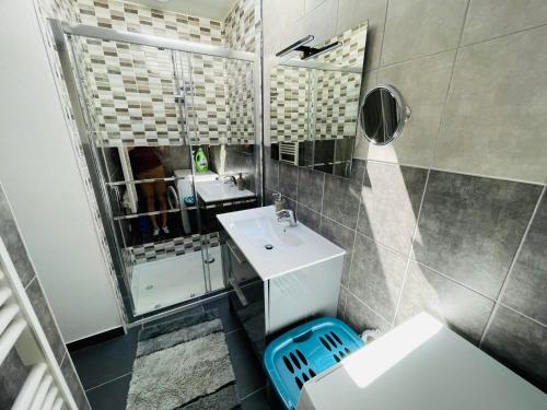 une salle de bain avec un lavabo et un miroir dans l'établissement Appartement T2 - Côté Montagne - Les appartements de Lucie à Allinges, à Allinges