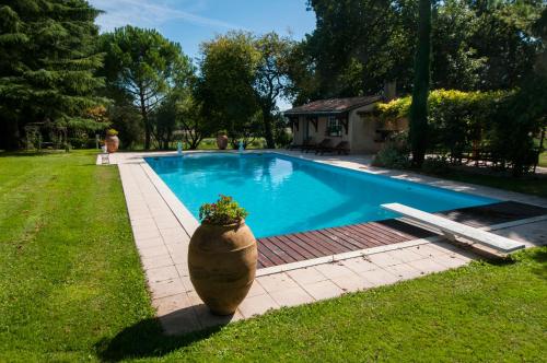 une grande piscine bleue avec une plante dans un pot dans l'établissement Luxury gite in Château Hostens-Picant vineyard, à Les Lèves-et-Thoumeyragues