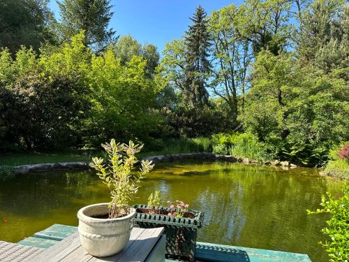 Billede fra billedgalleriet på Vila Anna i Želízy