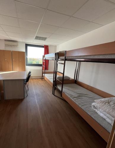 a dorm room with bunk beds and a desk at Famulus Kollégium in Győr