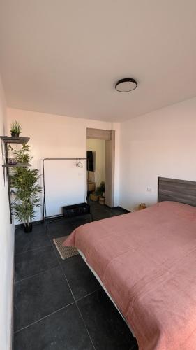 a bedroom with a bed and a white wall at Piso Bosique in San Pedro del Pinatar