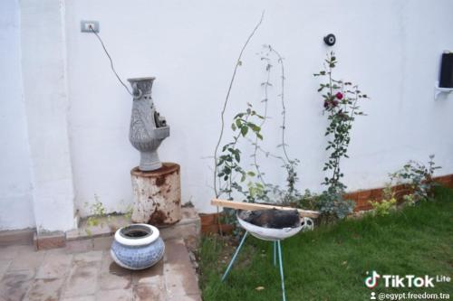 Taman di luar Nile View Home