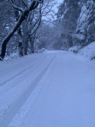 a snow covered road with footprints in the snow at Willow Lodge in Dublin