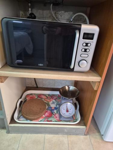 a microwave sitting on top of a shelf with a cookie at Mobil-Home N 17 in Fourmies