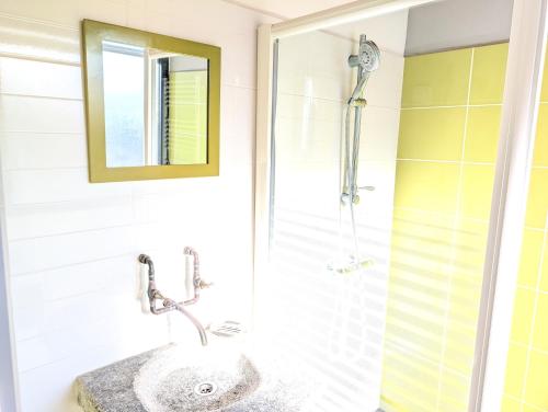 a bathroom with a sink and a shower at Gite en Cévennes avec piscine Intérieure chauffée in Ponteils-et-Brésis