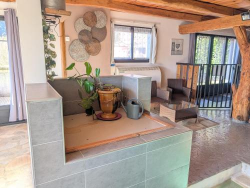 a living room with a table with a plant on it at Gite en Cévennes avec piscine Intérieure chauffée in Ponteils-et-Brésis