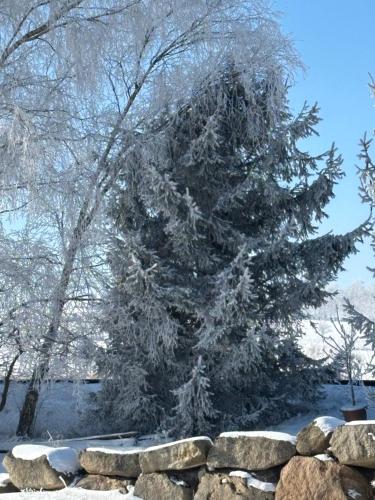 a snow covered tree behind a stone wall at Pension und Café "Alte Straßenmeisterei" in Hasselfelde