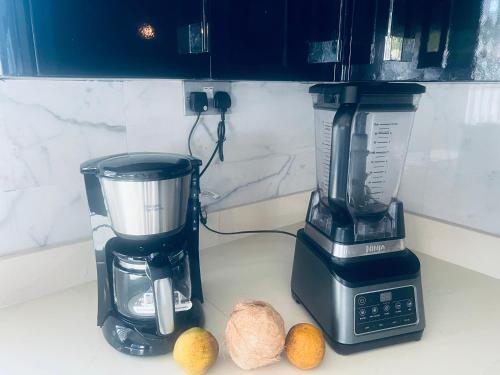 a blender and two coconuts on a counter at The Peacock Mansion in Kumasi