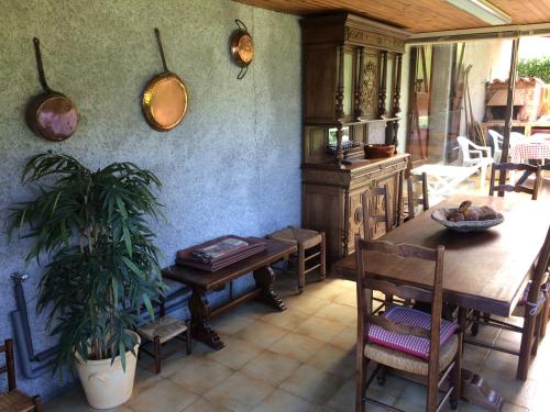 une salle à manger avec une table, des chaises et une plante dans l'établissement Vallée de la Barousse à Esbareich Hautes-Pyrénées, à Esbareich