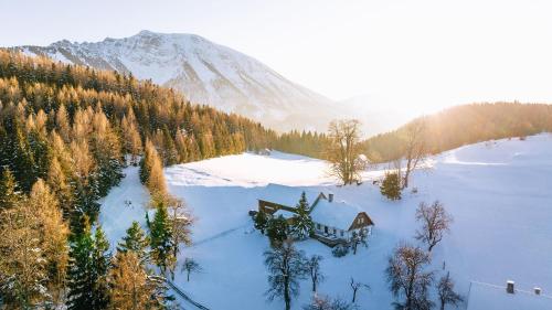 an aerial view of a house in the snow with a mountain at Nestelberg 17 in Lackenhof