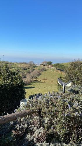 a sculpture of a wind turbine in a field at Hotel Tenuta dell'Argento Resort in Civitavecchia