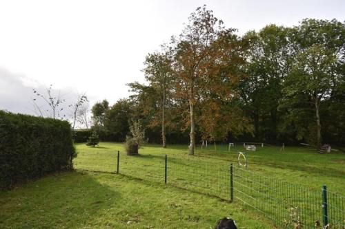 a dog sitting in a field with a fence at Ferienwohnung Labradoodle in Dornum