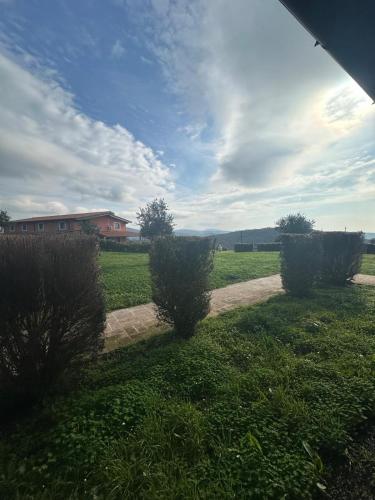 a group of bushes in a field with a building at Hotel Tenuta dell'Argento Resort in Civitavecchia