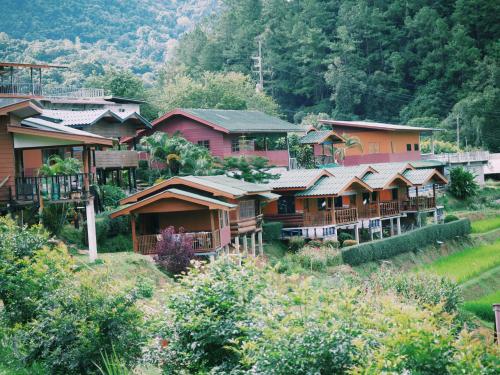 a group of houses on a hill with trees at Mae Klang Luang View in Ban Sop Mae Klang