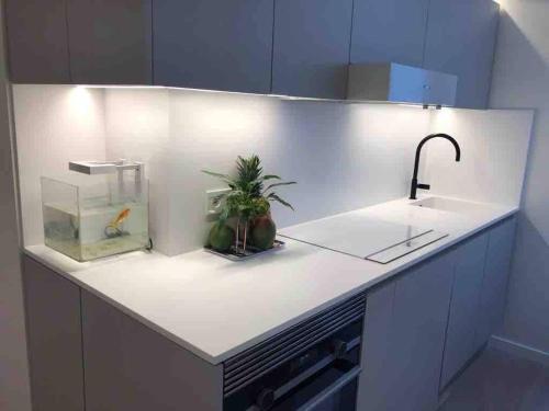 d'un comptoir de cuisine avec un évier et une plante. dans l'établissement Entire Apartment Jardin du Luxembourg, à Paris