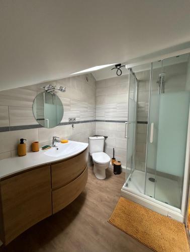 a bathroom with a toilet and a sink and a shower at Gîte Nature & Volcans in Volvic