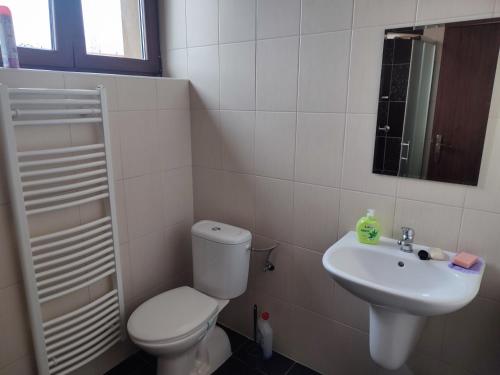 a bathroom with a toilet and a sink at Penzion a restaurace Na Salaši in Hutisko