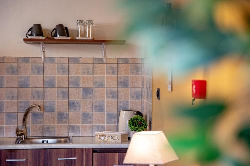Kuchyň nebo kuchyňský kout v ubytování Arktouros Hotel