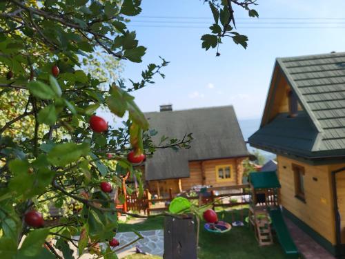 an apple tree in front of a house at Pieśń Poranka Domek in Łysina