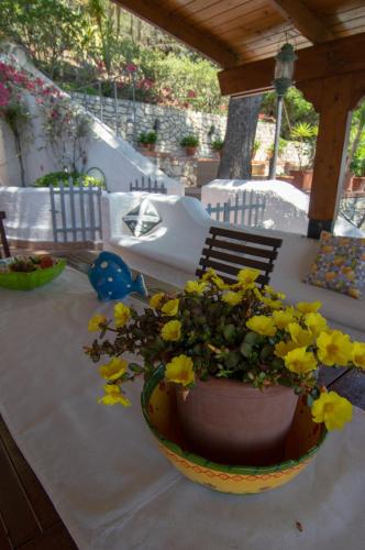 Κήπος έξω από το NSM Villa Carlotta E Villa Guarda che Mare con vista panoramica