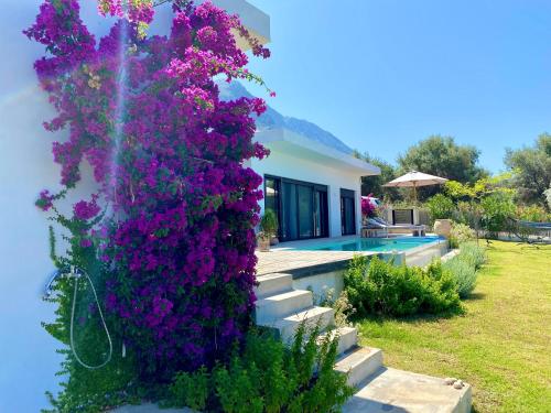 Zahrada ubytování Villa Nysa