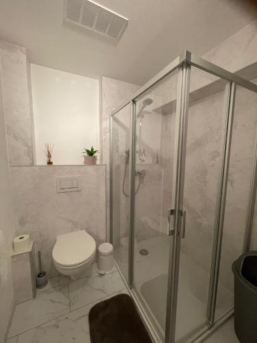 a bathroom with a toilet and a glass shower at Ferienwohnung Goldhahn in Eibenstock