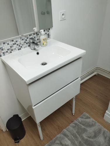 a bathroom with a white sink and a mirror at Appartement Cosy proche de Rouen in Canteleu