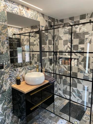 a bathroom with a sink and a shower at Leśne Zacisze Kawice in Kawice