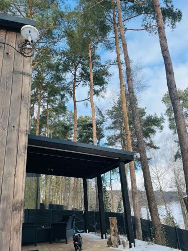 a pavilion with a dog standing in front of trees at Siemiany Michałówka in Siemiany