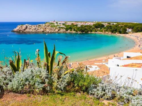 a view of a beach with cacti at VILLA VEGA RELAX EN EL PARAISO in Es Mercadal