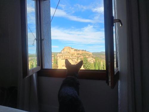 a dog looking out of a window at a castle at Hotel Santa Maria de Alquezar in Alquézar