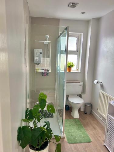a bathroom with a glass shower and a toilet at The South Promenade apartment in Newcastle