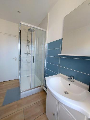 une salle de bain avec douche et lavabo dans l'établissement Cosy 1 - Mulhouse centre, à Mulhouse