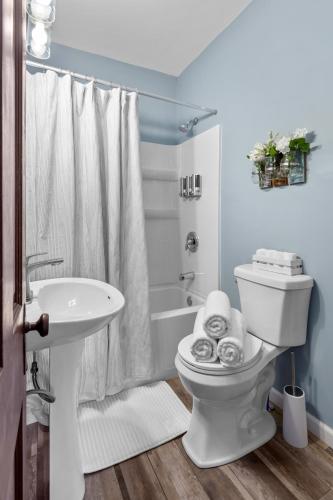 a bathroom with a white toilet and a sink at 516 Sweet Cherry Escape in Warrenton
