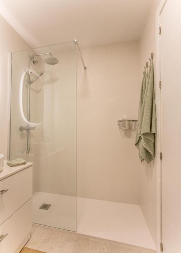 a shower with a glass door in a bathroom at Estudio San Juan in Benalmádena