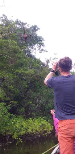 Επισκέπτες που μένουν στο alojamiento en el amazonas