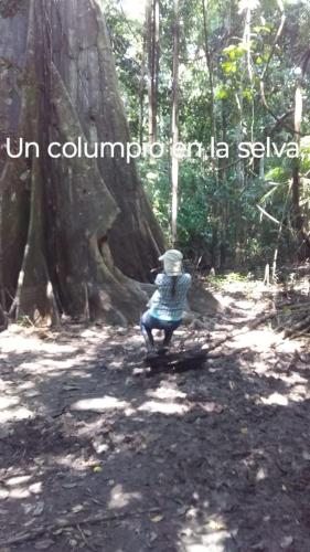 Φωτογραφία από το άλμπουμ του alojamiento en el amazonas σε Isla Paranapura
