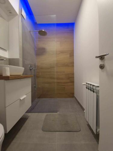 a bathroom with a shower with a sink and a toilet at Mare Blue in Pirovac