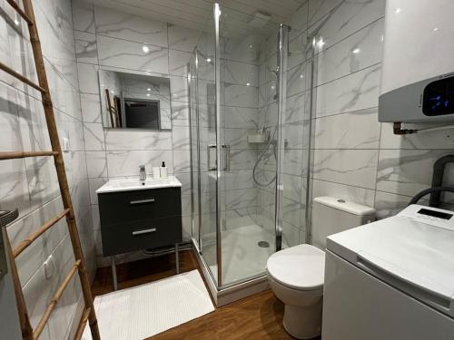une salle de bain avec une douche, des toilettes et un lavabo dans l'établissement LE FONTAINE aux portes du village avec parking, à La Roche-sur-Foron