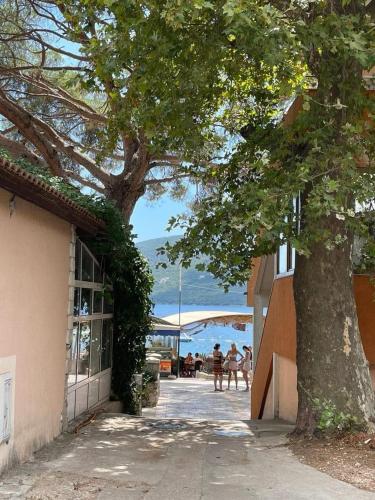 Peisaj natural din apropierea acestui apartament