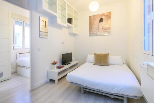 TEMPORAL apartment 1 bedroom flat a few metres from the city centre AMA2721
