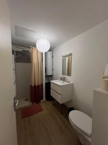 une salle de bain avec toilettes, lavabo et miroir dans l'établissement Le terracota proche gare, à Beauvais