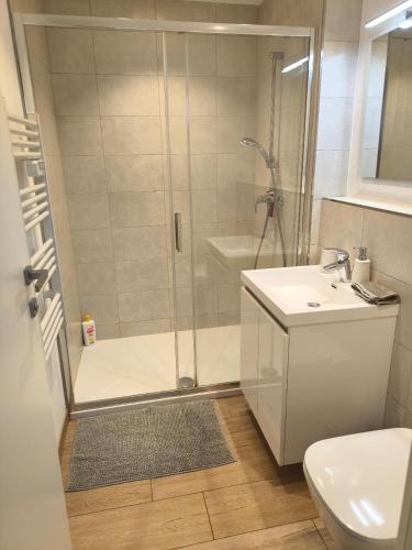 une salle de bain avec une douche, un lavabo et des toilettes dans l'établissement COSY 2P A 5 MINUTES A PIED DE LA MER ET DU CENTRE, à Menton